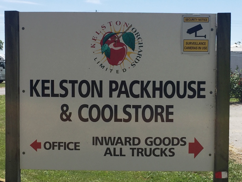 Pallets for Dispatch